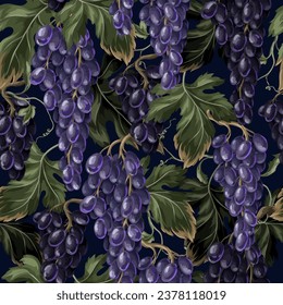 Seamless pattern with blue grapes branches. Vector.