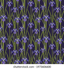 Seamless pattern blue iris flower