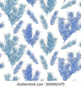 Seamless pattern with blue pine branches. Christmas holiday seamless background. Great for New year and Christmas party posters, headers, seasonal wallpaper, winter background, textile fabric. Vector