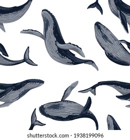 Seamless pattern of blue whales. Hand drawn vector illustration. Ocean mammal animal ornament. Beautiful underwater fauna. Colored design for fabric, textile, background, wallpaper, print, decor, wrap