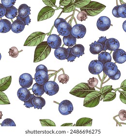 Seamless pattern with blueberries branches