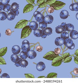 Seamless pattern with blueberries branches