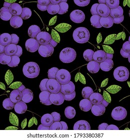 Seamless pattern with blueberries. Hand drawn background. Colorful blueberry illustration. Vector illustration.