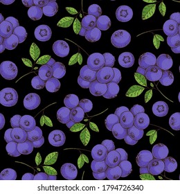 Seamless pattern with blueberries. Hand drawn background. Colorful blueberry illustration. Vector illustration.