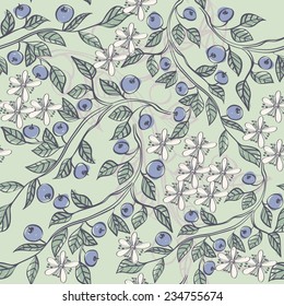 Seamless pattern with  blueberries. hand drawn floral background.
