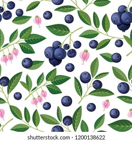 Seamless pattern with blueberries, sprigs, flowers. Vector