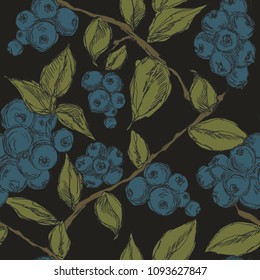 Seamless pattern with blueberry branches and leaves on dark background. Vector floral print, ink hand-drawn style.