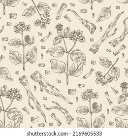 Seamless pattern with boerhavia diffusa: boerhavia diffusa plant, leaves, punarnava flowers and boerhavia diffusa root. Punarnava. Cosmetic, perfumery and medical plant. Vector hand drawn