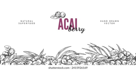 Seamless pattern border with Acai berries and leaves. Fresh juicy black berries with foliage. Vector engraved hand drawn illustration of natural fruit on white. Exotic antioxidant vitamin superfood