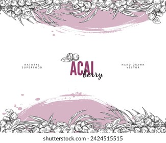 Seamless pattern border with Acai berries and leaves. Exotic fresh juicy berries with foliage. Vector engraved hand drawn natural fruit, design on watercolor stain. Antioxidant superfood