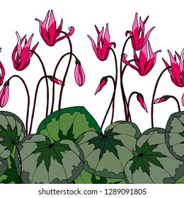 seamless pattern, border with flowers and leaves cyclamen