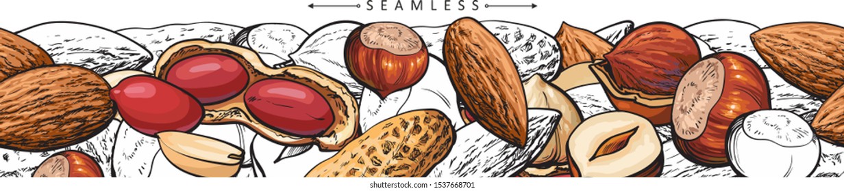 Seamless pattern and border with nuts and peanuts, hazelnuts and almonds. Healthy diet food concept, template for panoramic banners with nuts. Isolated hand drawn vector illustration.