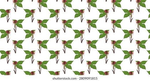 Seamless pattern botanical depiction of Arisaema triphyllum, also known as Jack-in-the-Pulpit. Ideal for woodland flora, botanical guides, native plant collections, education, gardening, and seasonal nature themes.