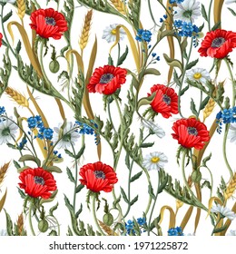 Seamless pattern with botanical flowers such as poppies, chamomile, ear of wheat and other