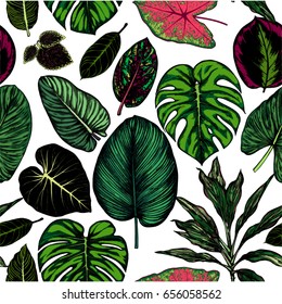 Seamless pattern. Botanical hand drawn illustration. Engraving style
