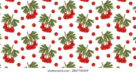 Seamless pattern botanical hawthorn branch with green leaves and bright red berries. Ideal for autumn themes, herbal projects, nature education, seasonal decor, gardening, folklore, and botanical collections.