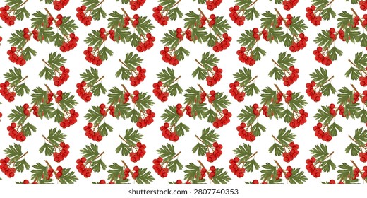 Seamless pattern botanical hawthorn branch with green leaves and bright red berries. Ideal for autumn themes, herbal projects, nature education, seasonal decor, gardening, folklore, and botanical collections.