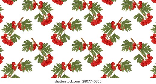 Seamless pattern botanical hawthorn branch with green leaves and bright red berries. Ideal for autumn themes, herbal projects, nature education, seasonal decor, gardening, folklore, and botanical collections.
