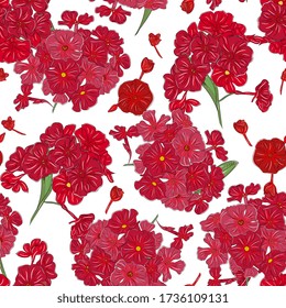 Seamless pattern Botanical illustration of a bouquet of flowers leaflets.Background with red phlox flowers. Design for textiles, fabrics, wallpapers, home decoration, packaging,