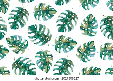 patrón ininterrumpido con ilustración botánica, hojas monsteras, patrón tropical
