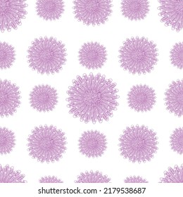 Seamless pattern with a botanical ornament of purple asters isolated on a white background for printing on textiles, home decor, wallpaper on the theme of flowering in the garden.