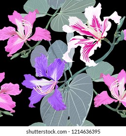 Seamless pattern botanical with Pink flowers on black background.