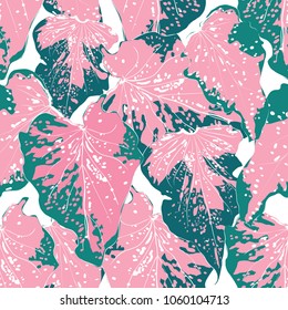 Seamless pattern botanical pink pastel and green Caladium leaves on isolated whitenbackground.Vector illustration.watercolor style