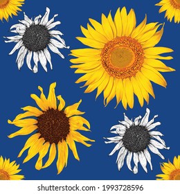 Seamless pattern botanical Sunflower flowers abstract blue backgground.Vector illustration drawing .fabric textile pattern print design