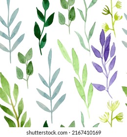 Seamless Pattern of Botanical Tropical plants, Foliage, Rustic, Greenery, Natural herbs, green leaves. Hand Drawn fresh beauty floral wildflower background on white background. Vector illustration