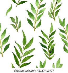Seamless Pattern of Botanical Tropical plants, Foliage, Rustic, Greenery, Natural herbs, green leaves. Hand Drawn fresh beauty floral wildflower background on white background. Vector illustration