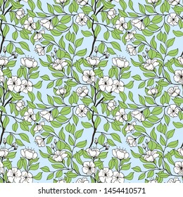 Seamless pattern botanical vector illustration. branches with flowers of apple tree leaves. hand drawing