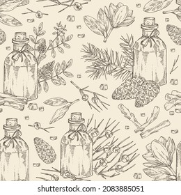 Seamless pattern with bottle with essential oils: magnolia grandiflora oil, licorice essential oil, pine tree cone, ephedra. Cosmetic, perfumery and medical plant. Vector hand drawn illustration