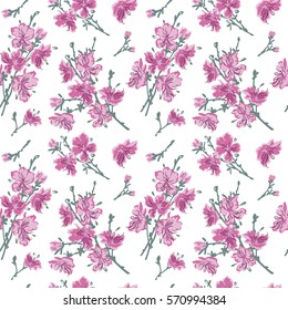 seamless pattern,  bouquet,  cotton, spring flowers, vector graphics, wild flowers, background-4