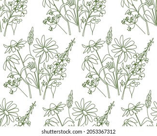 Seamless pattern with bouquet of  medical healing herbs  medical herbs  lavender, echinacea, chamomile, willow herb, fennel  in line style