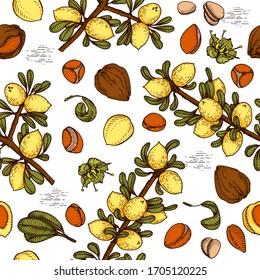 Seamless Pattern with branch argan tree with fruits, nuts argans, leaves, flower argans Detailed hand-drawn sketches, vector botanical illustration.