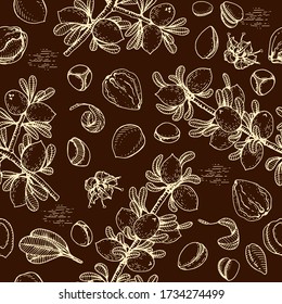 Seamless Pattern with branch argan tree with fruits, nuts argans, leaves, flower argans Detailed hand-drawn sketches, vector botanical illustration.