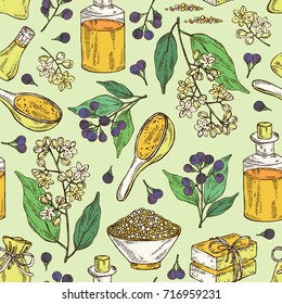 Seamless pattern with branch of camphor tree, leaves, berries, camphor flowers. Essential oil, soap and bath salt . Cosmetic, perfumery and medical plant. Vector hand drawn illustration. 