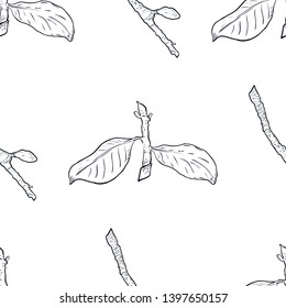 Seamless pattern branch with green leaves. Drawing, vector illustration, white background.