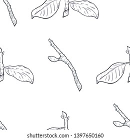 Seamless pattern branch with green leaves. Drawing, vector illustration, white background.
