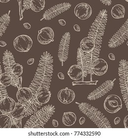 Seamless pattern with branch of indian gooseberry, amla: berries and leaves of amla. Cosmetics and medical plant. Vector hand drawn illustration.