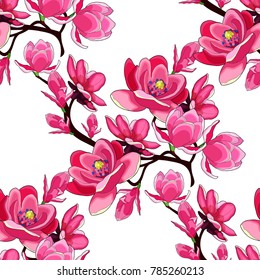 seamless pattern branch magnolia flower red.  vector illustration