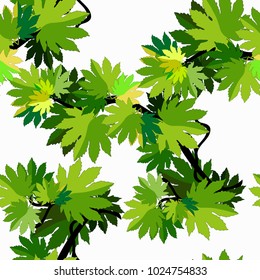 seamless pattern branch of maple tree leaves  vector illustration