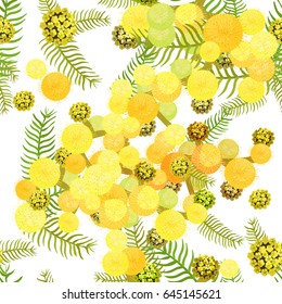 Seamless pattern Branch  mimosa acacia silvery whitened.  Vector illustration