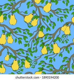 
Seamless pattern branch with pears, garden fruit tree, pear tree, yellow ripe fruits, vector illustration in doodle style, hand draw.