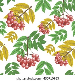 Seamless pattern branch of rowan berries and leaves on white background. Autumn, fall. Vector illustration.