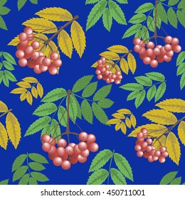 Seamless pattern branch of rowan berries and leaves on blue background. Autumn, fall. Vector illustration.