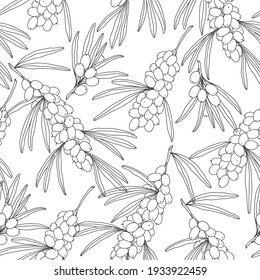 Seamless pattern with branch of sea buckthorn, berries and leaves on white. Vector. Perfect for design templates, wallpaper, wrapping, fabric and textile.