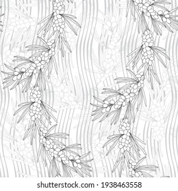 Patrón sin soldadura con rama de espina dorsal marina, bayas y hojas sobre fondo rayado ondulado. Vector. Perfecto para plantillas de diseño, papel pintado, envoltura, tela y textil.