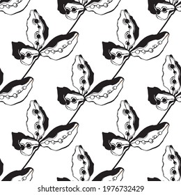 Seamless pattern. Branch with seeds,  black and white vector 