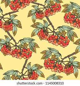 Seamless pattern branch sorbus. Vector illustration on a yellow background.